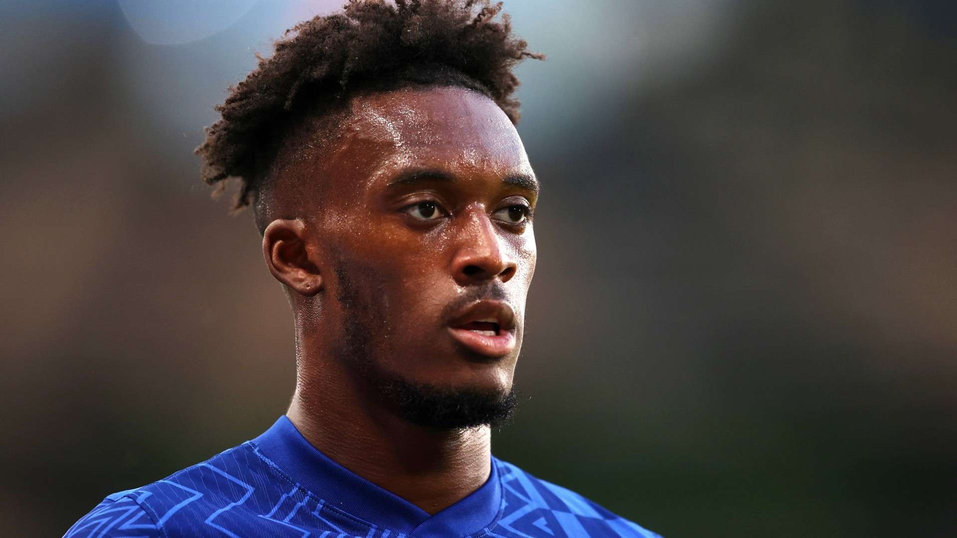 在个人荣誉 在个人荣誉