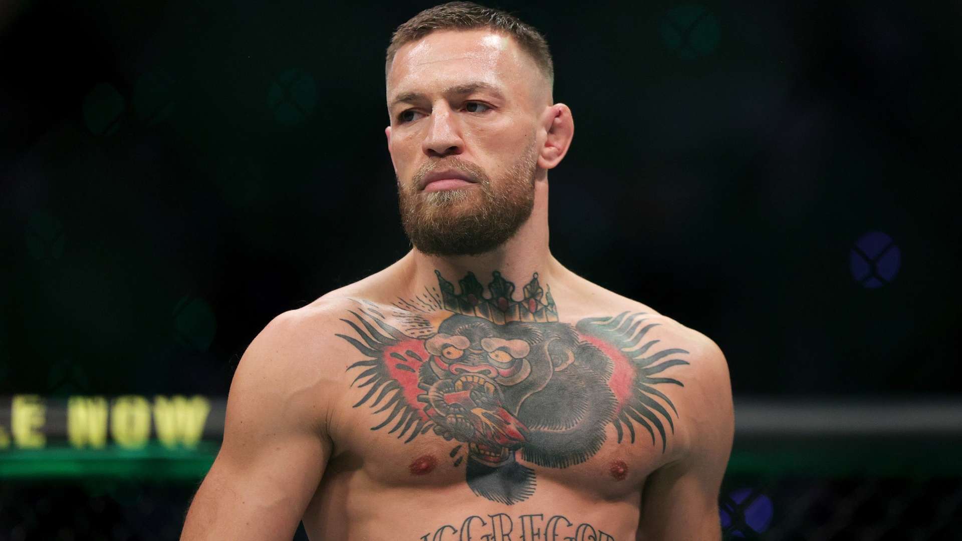 勒沃库森实力分析及近期表现探讨与未来展望